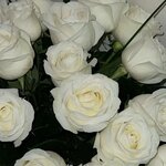 Ульяна Шаблыкина